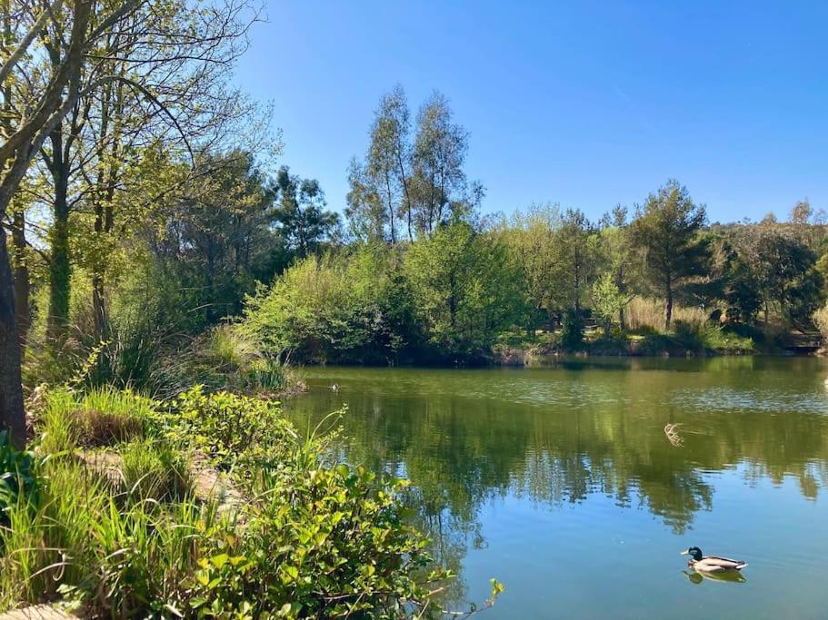 Les Restanques Cabriere 3123 Vue Mer 3 Chambres Grimaud Dış mekan fotoğraf